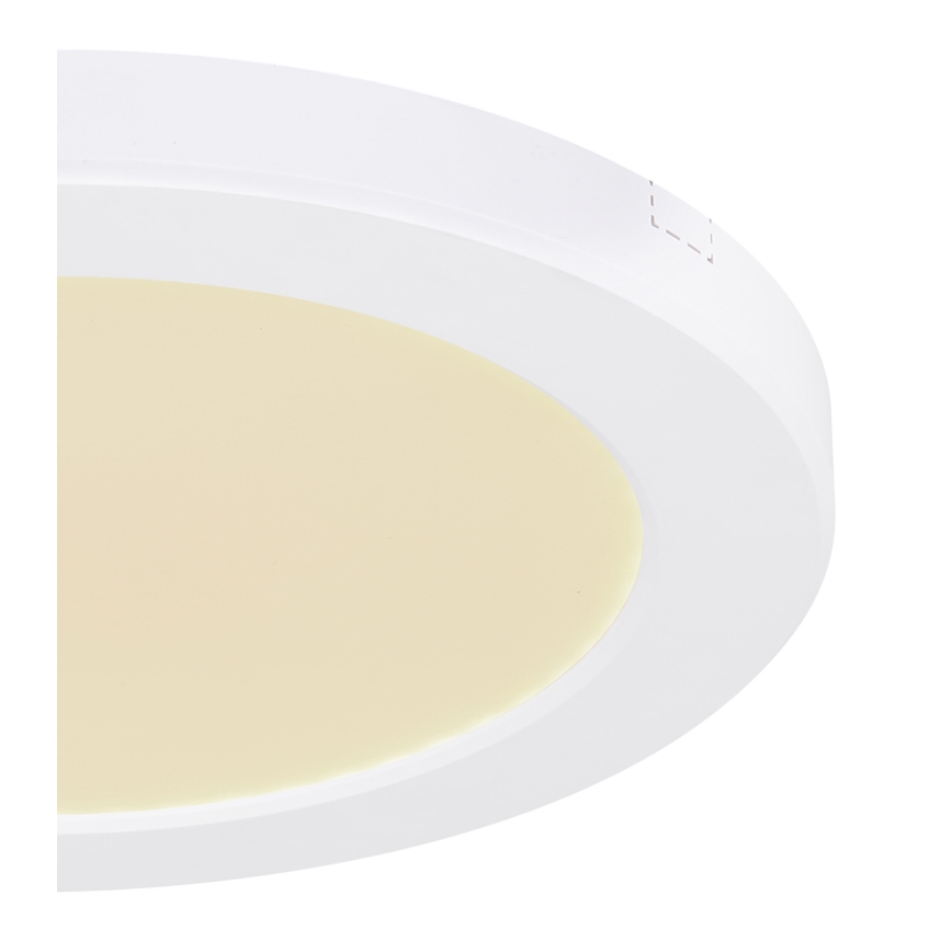 Globo - LED Ceiling light LED/18W/230V 3000/4000/6500K white