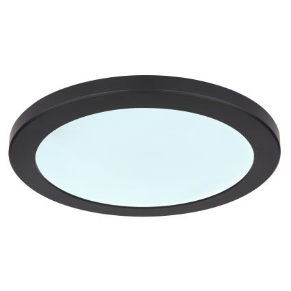 Globo - LED Ceiling light LED/24W/230V 3000/4000/6500K black