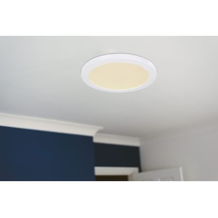 Globo - LED Ceiling light LED/24W/230V 3000/4000/6500K white