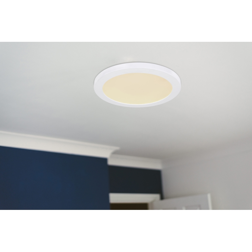 Globo - LED Ceiling light LED/24W/230V 3000/4000/6500K white
