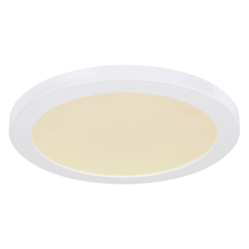Globo - LED Ceiling light LED/24W/230V 3000/4000/6500K white