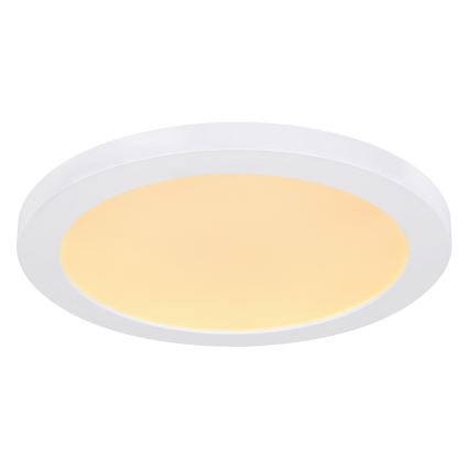 Globo - LED Ceiling light LED/24W/230V 3000/4000/6500K white