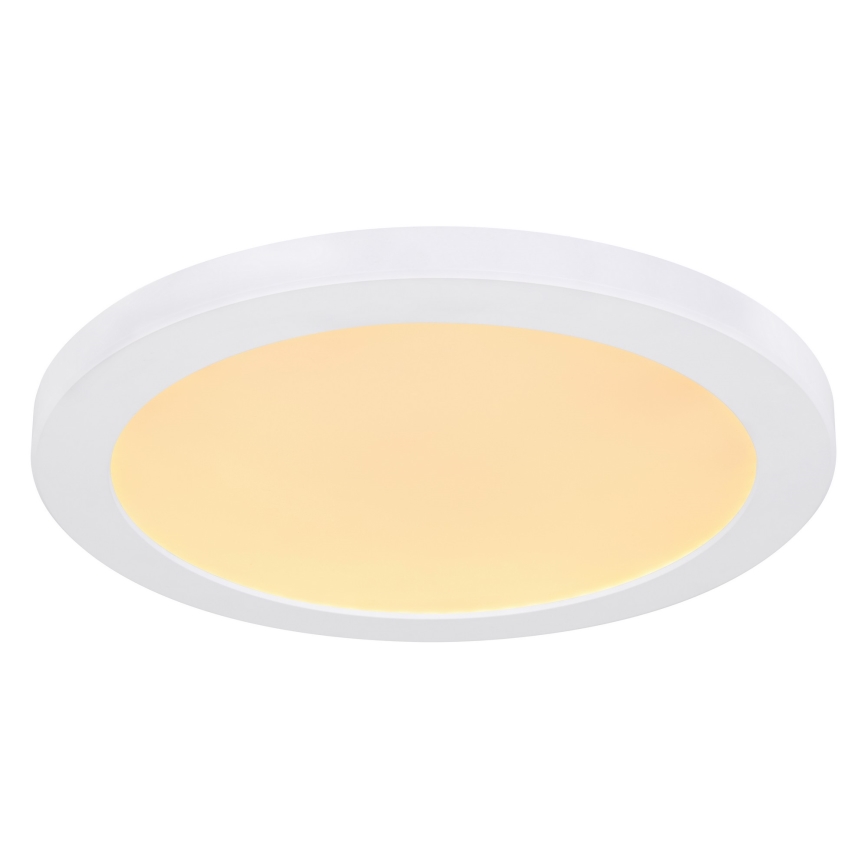 Globo - LED Ceiling light LED/24W/230V 3000/4000/6500K white