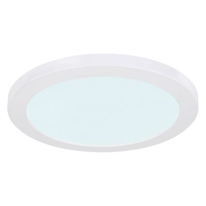 Globo - LED Ceiling light LED/24W/230V 3000/4000/6500K white