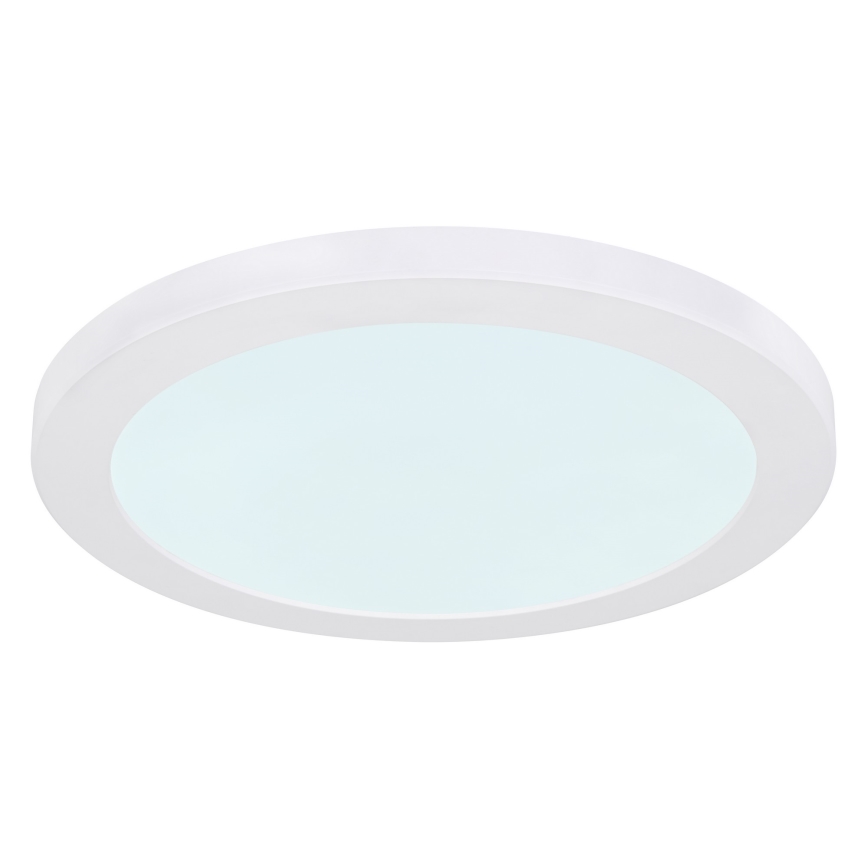 Globo - LED Ceiling light LED/24W/230V 3000/4000/6500K white