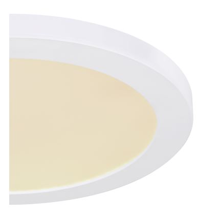 Globo - LED Ceiling light LED/24W/230V 3000/4000/6500K white