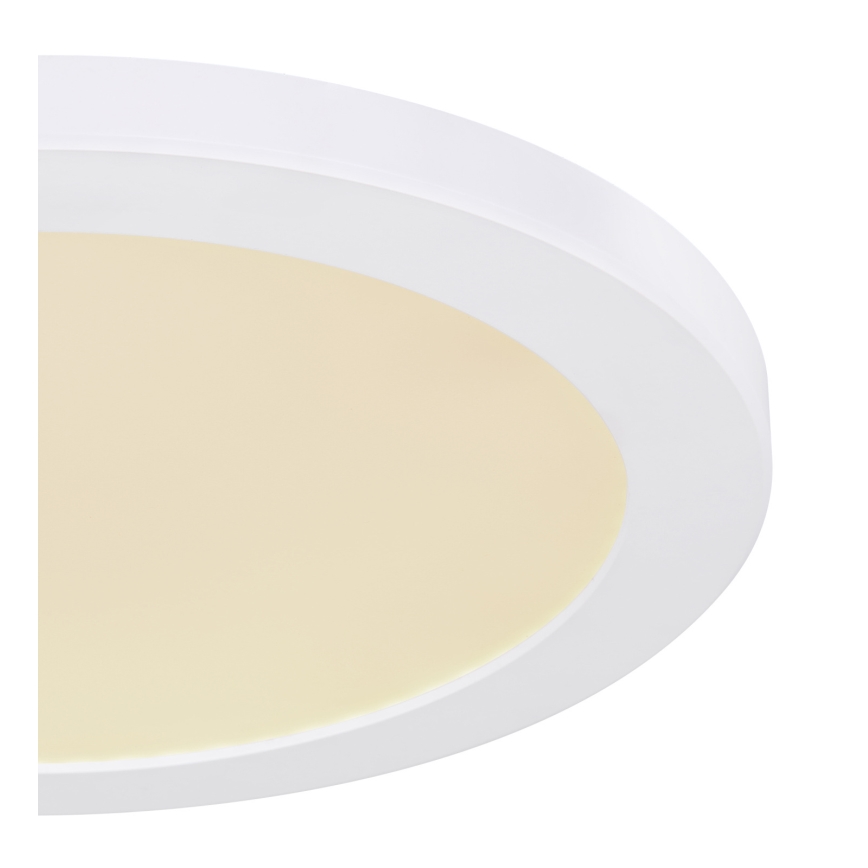 Globo - LED Ceiling light LED/24W/230V 3000/4000/6500K white