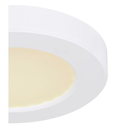Globo - LED Ceiling light LED/6W/230V 3000/4000/6500K white