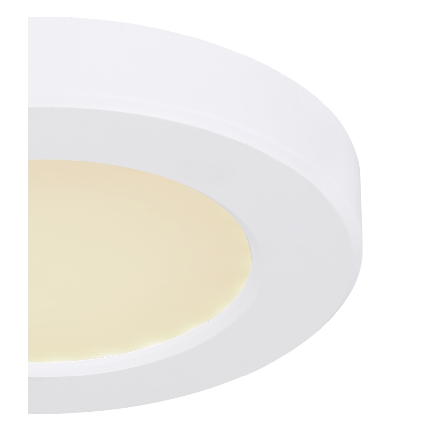 Globo - LED Ceiling light LED/6W/230V 3000/4000/6500K white