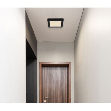 Globo - LED Ceiling light LED/12W/230V 3000/4000/6500K black