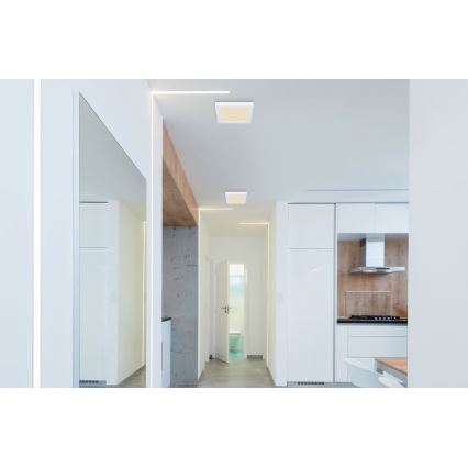 Globo - LED Ceiling light LED/12W/230V 3000/4000/6500K white