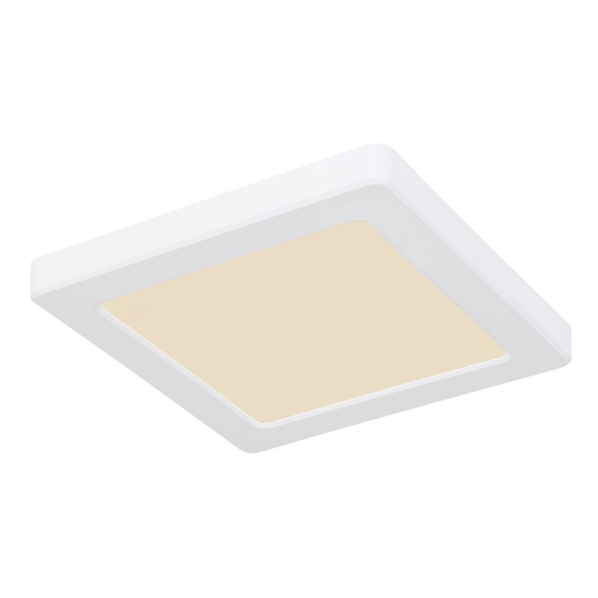 Globo - LED Ceiling light LED/12W/230V 3000/4000/6500K white