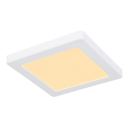 Globo - LED Ceiling light LED/12W/230V 3000/4000/6500K white