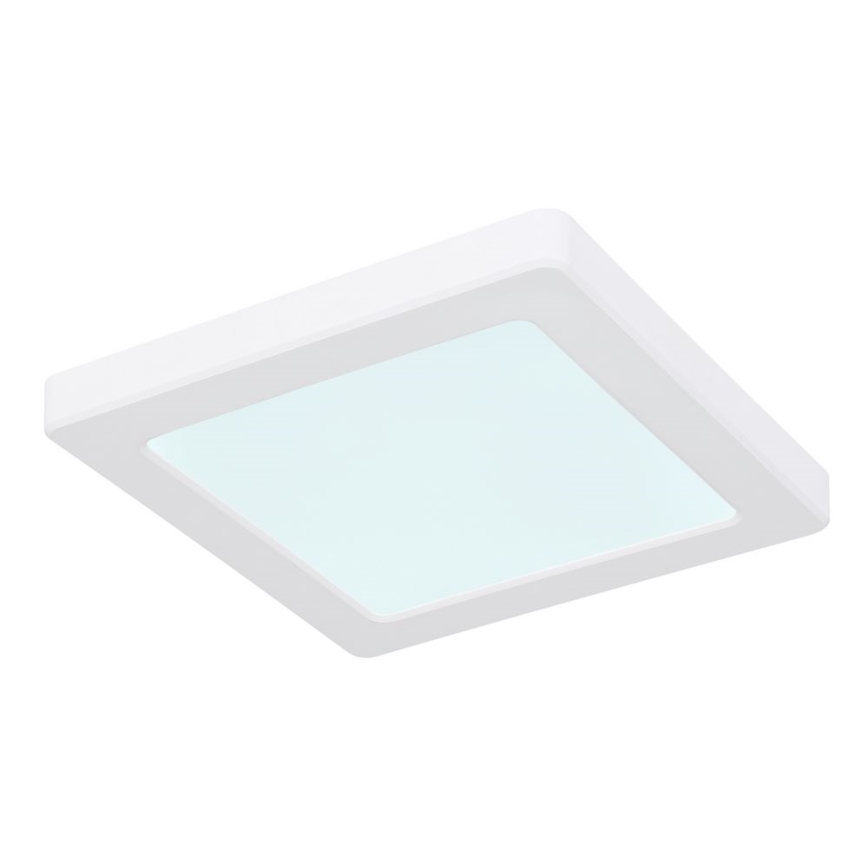 Globo - LED Ceiling light LED/12W/230V 3000/4000/6500K white