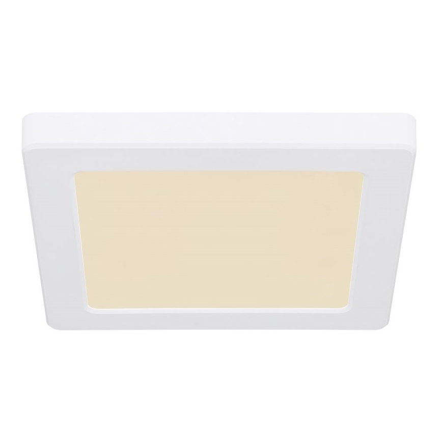 Globo - LED Ceiling light LED/12W/230V 3000/4000/6500K white