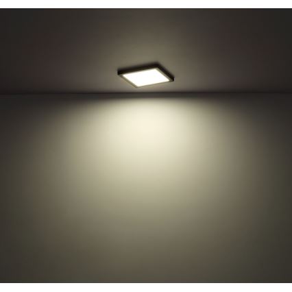 Globo - LED Ceiling light LED/24W/230V 3000/4000/6500K black