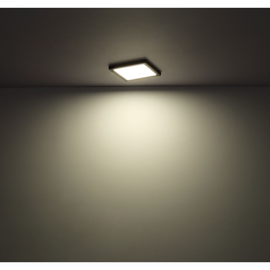 Globo - LED Ceiling light LED/24W/230V 3000/4000/6500K black