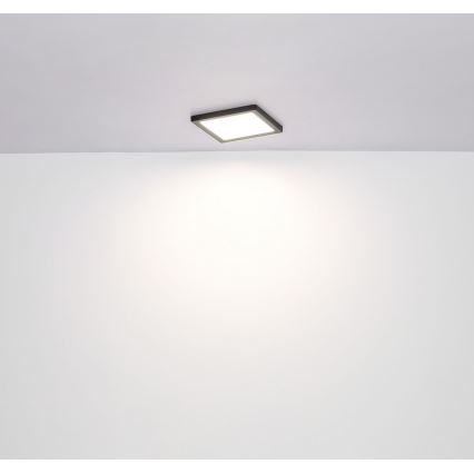 Globo - LED Ceiling light LED/24W/230V 3000/4000/6500K black