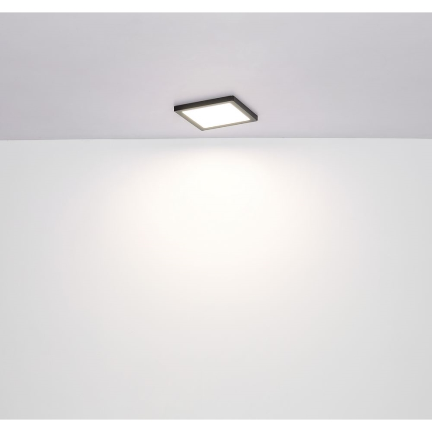 Globo - LED Ceiling light LED/24W/230V 3000/4000/6500K black