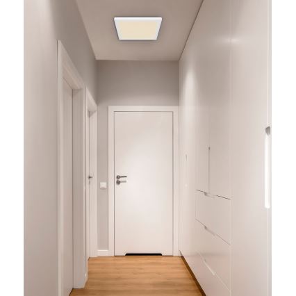 Globo - LED Ceiling light LED/24W/230V 3000/4000/6500K white