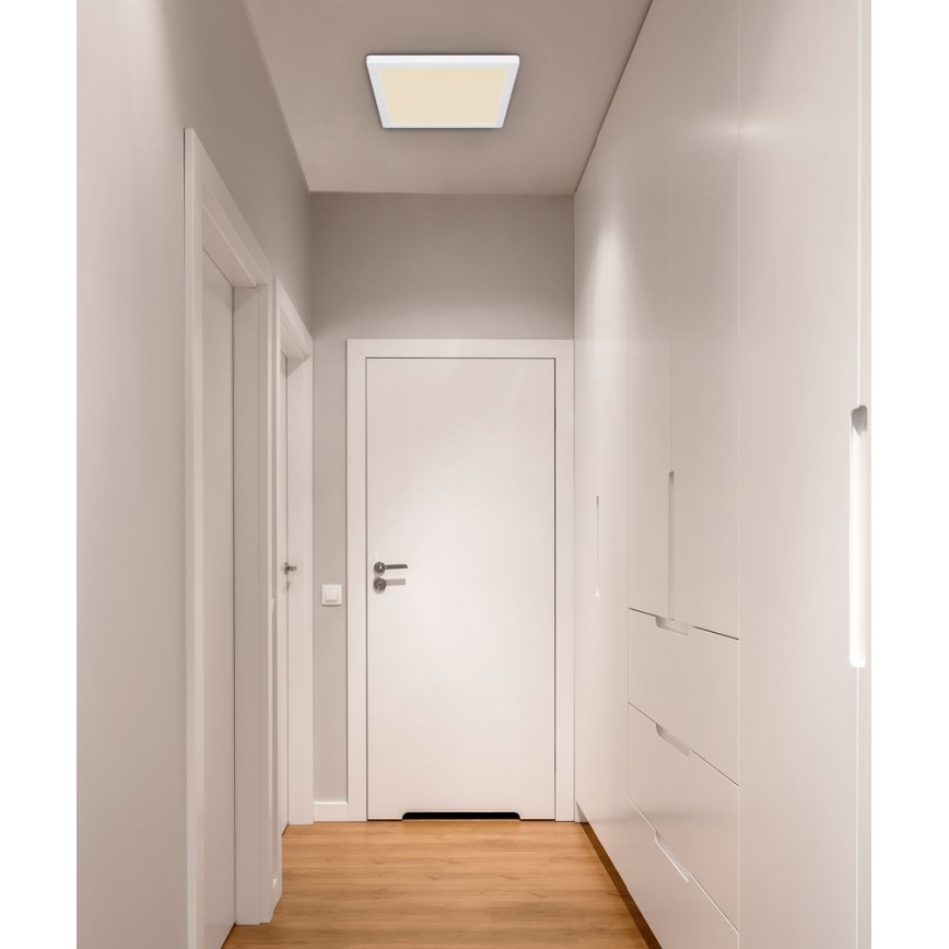Globo - LED Ceiling light LED/24W/230V 3000/4000/6500K white
