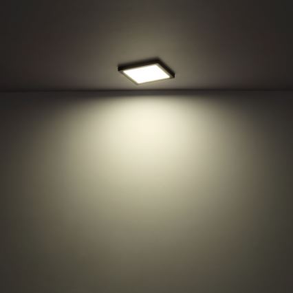 Globo - LED Ceiling light LED/24W/230V 3000/4000/6500K white