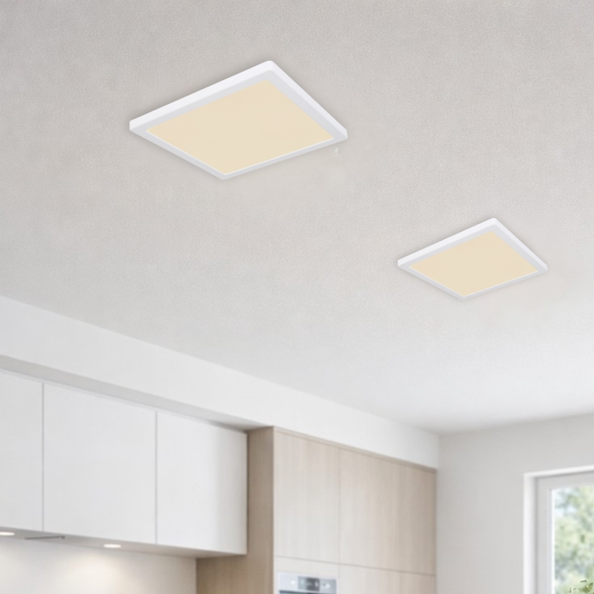 Globo - LED Ceiling light LED/24W/230V 3000/4000/6500K white