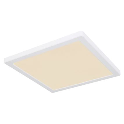 Globo - LED Ceiling light LED/24W/230V 3000/4000/6500K white