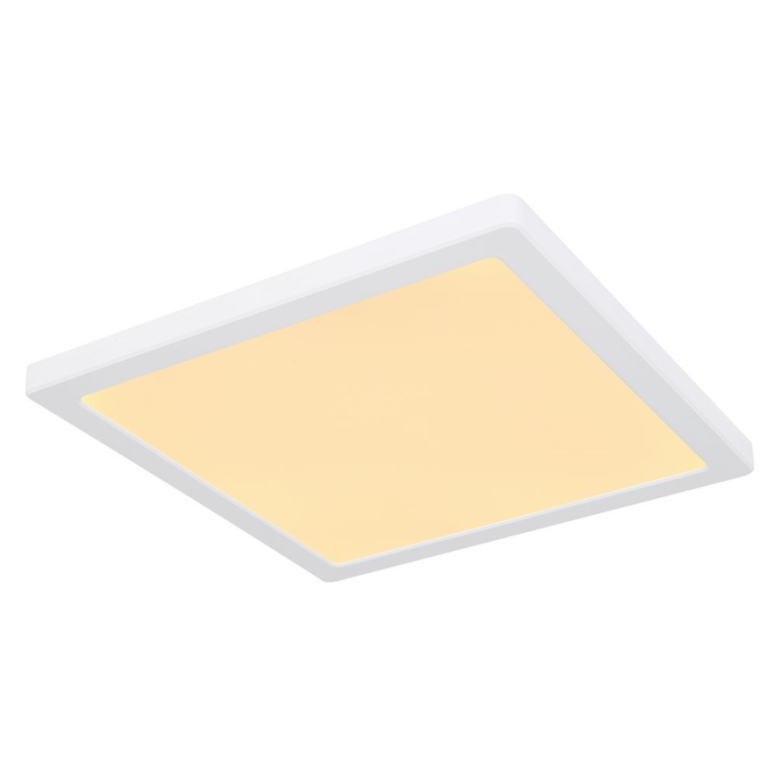 Globo - LED Ceiling light LED/24W/230V 3000/4000/6500K white