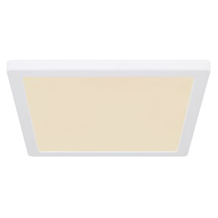 Globo - LED Ceiling light LED/24W/230V 3000/4000/6500K white