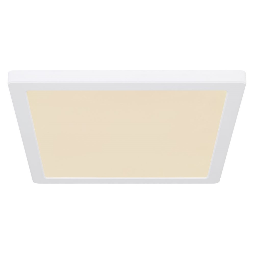 Globo - LED Ceiling light LED/24W/230V 3000/4000/6500K white