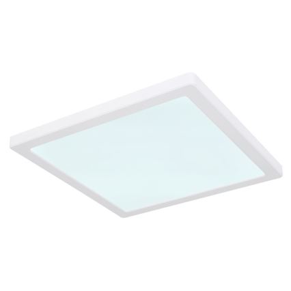 Globo - LED Ceiling light LED/24W/230V 3000/4000/6500K white
