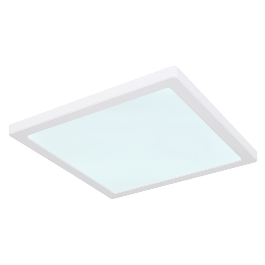 Globo - LED Ceiling light LED/24W/230V 3000/4000/6500K white