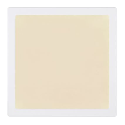 Globo - LED Ceiling light LED/24W/230V 3000/4000/6500K white