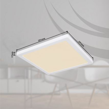 Globo - LED Ceiling light LED/24W/230V 3000/4000/6500K white