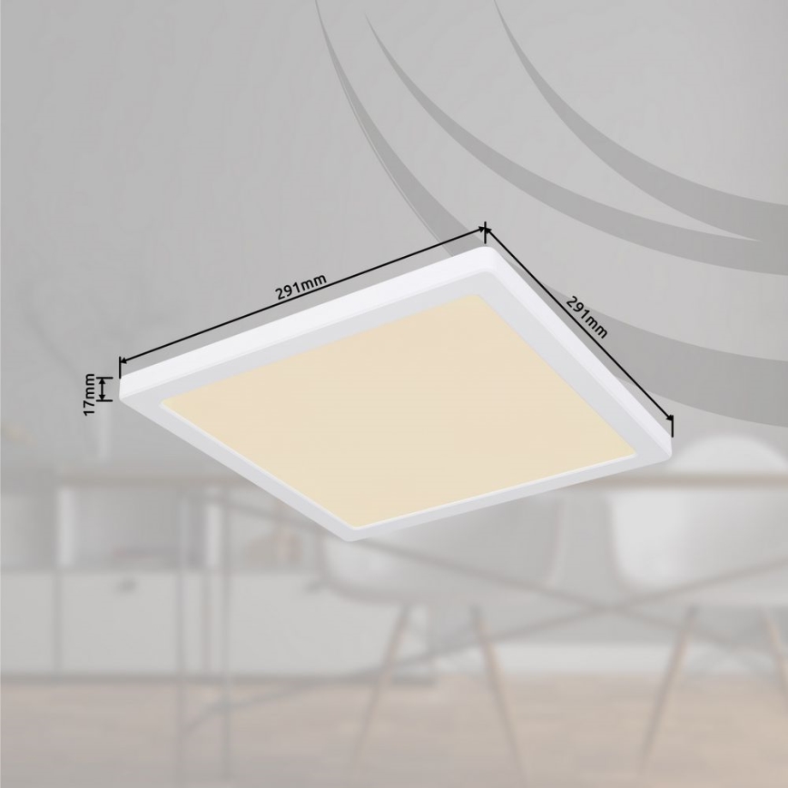 Globo - LED Ceiling light LED/24W/230V 3000/4000/6500K white