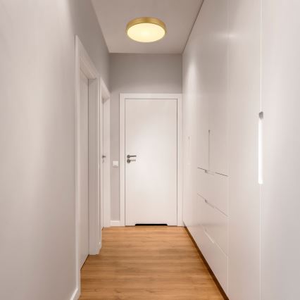 Globo - LED Ceiling light LED/15W/230V d. 25 cm