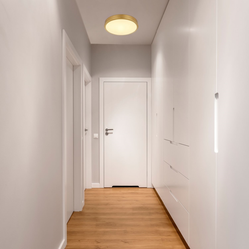 Globo - LED Ceiling light LED/15W/230V d. 25 cm