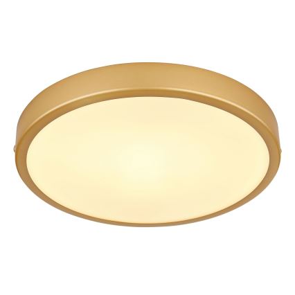 Globo - LED Ceiling light LED/15W/230V d. 25 cm