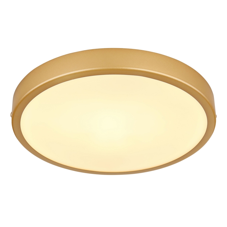 Globo - LED Ceiling light LED/15W/230V d. 25 cm