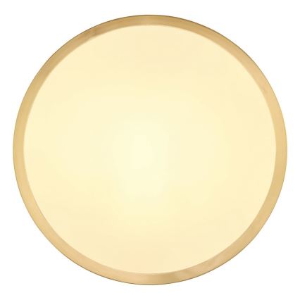 Globo - LED Ceiling light LED/15W/230V d. 25 cm