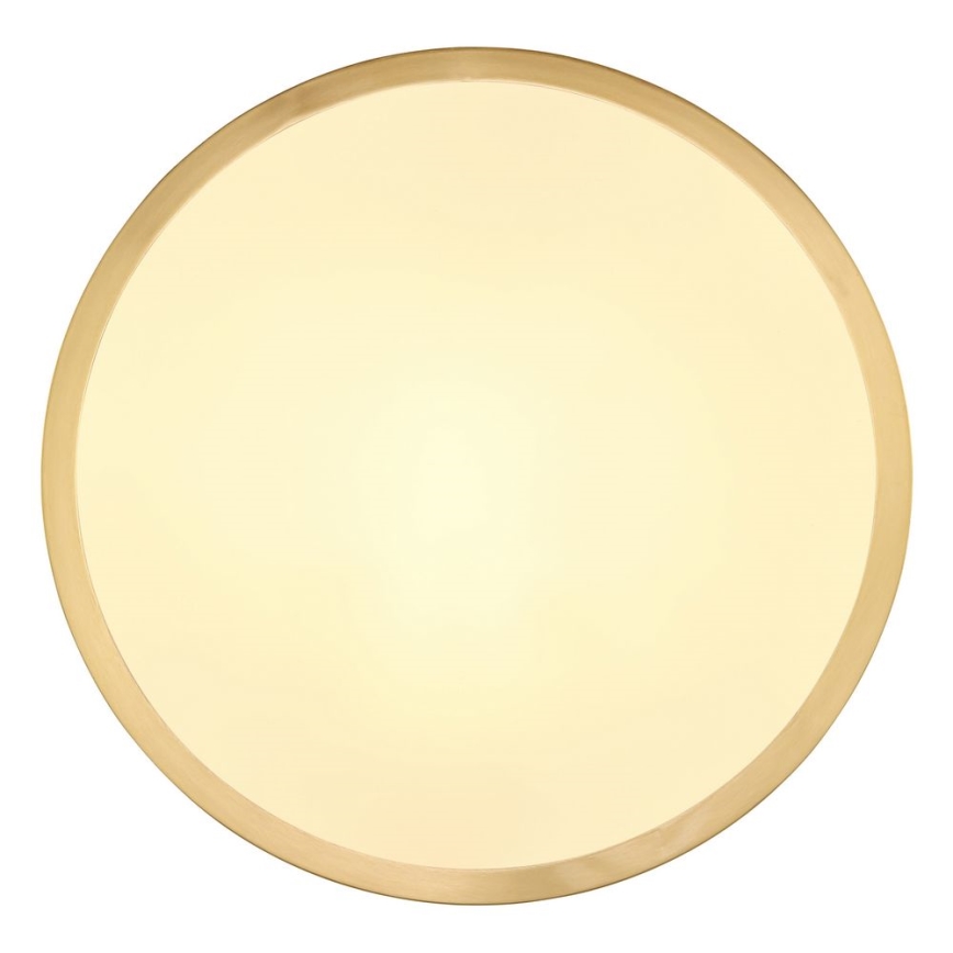 Globo - LED Ceiling light LED/15W/230V d. 25 cm