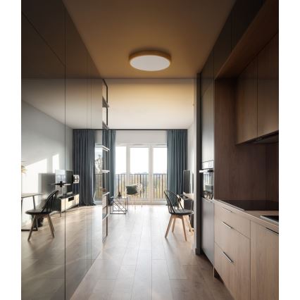 Globo - LED Ceiling light LED/22W/230V d. 35 cm
