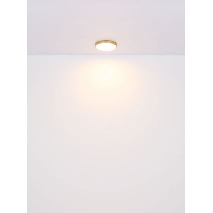 Globo - LED Ceiling light LED/22W/230V d. 35 cm