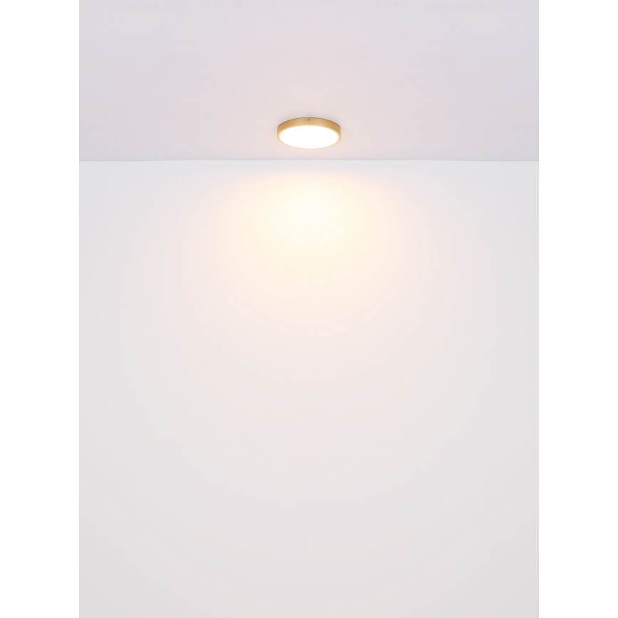 Globo - LED Ceiling light LED/22W/230V d. 35 cm