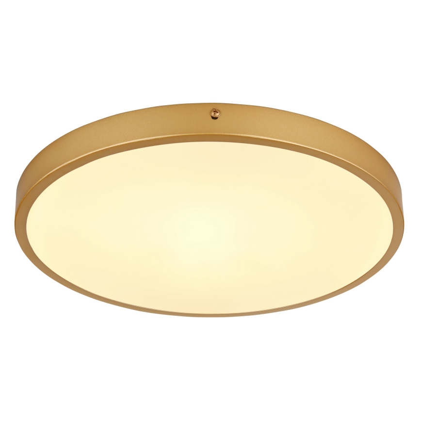 Globo - LED Ceiling light LED/22W/230V d. 35 cm