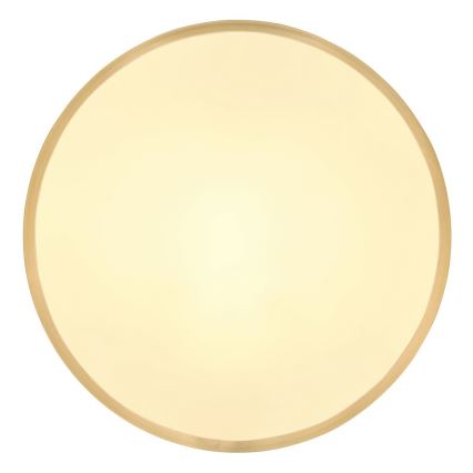Globo - LED Ceiling light LED/22W/230V d. 35 cm