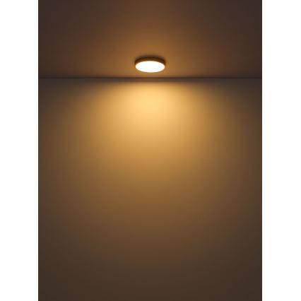 Globo - LED Ceiling light LED/30W/230V d. 45 cm