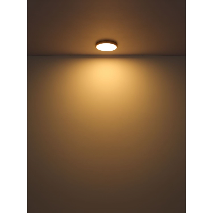 Globo - LED Ceiling light LED/30W/230V d. 45 cm