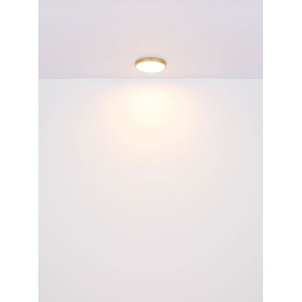 Globo - LED Ceiling light LED/30W/230V d. 45 cm
